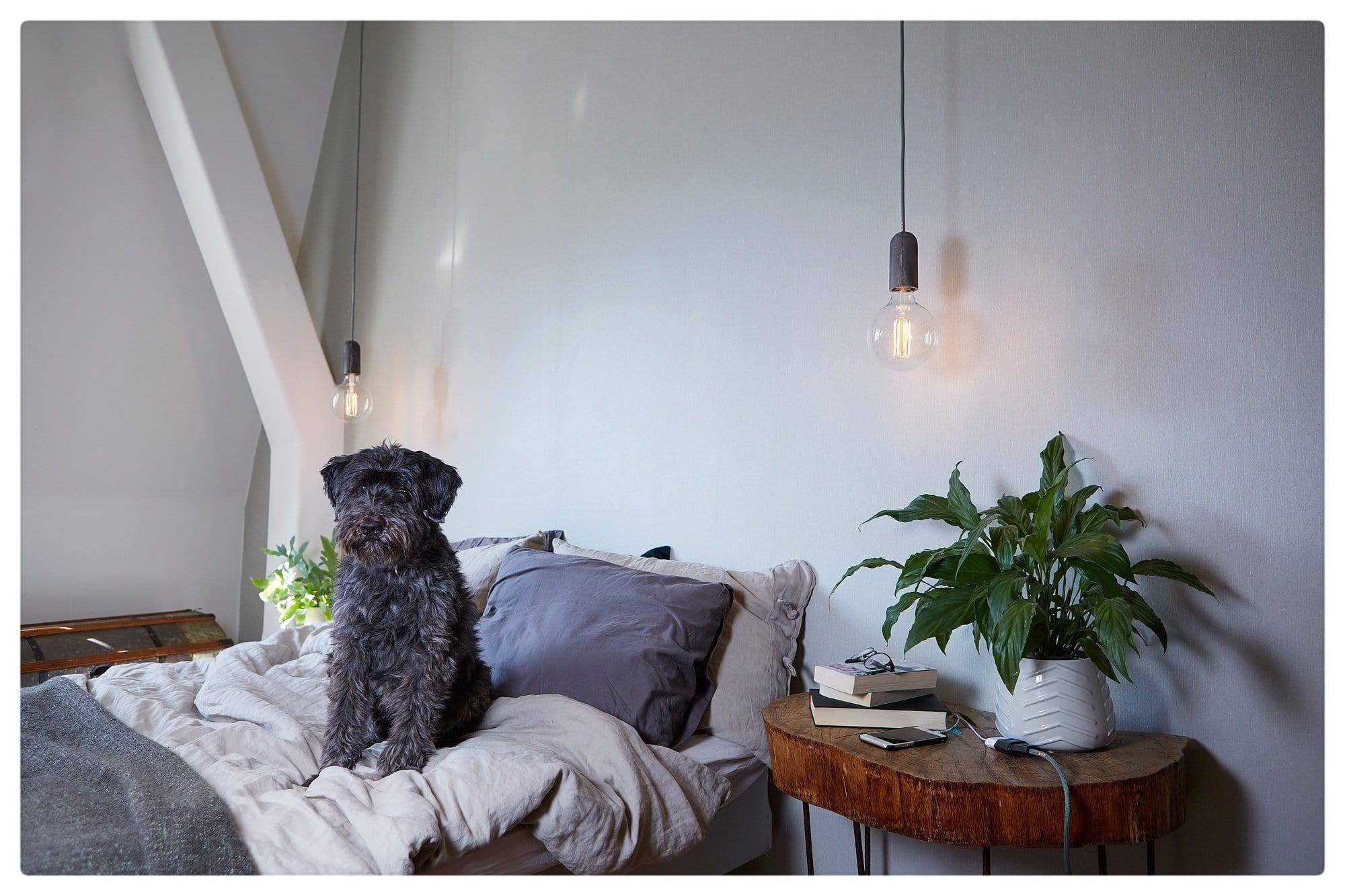 Exposed bulb pendant light- Iron - Image 4