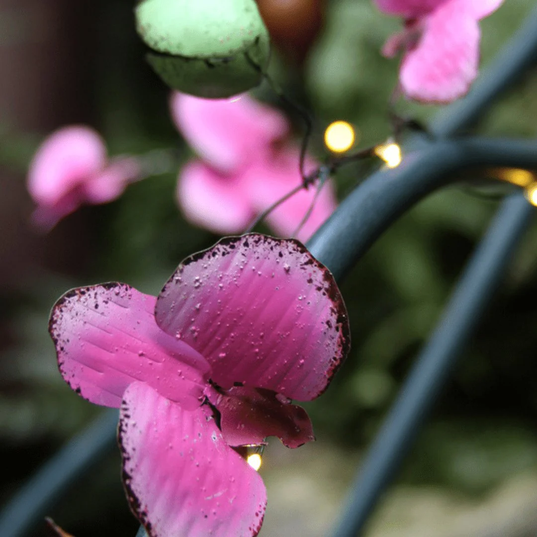 Orchid Fairy Lights - Image 3