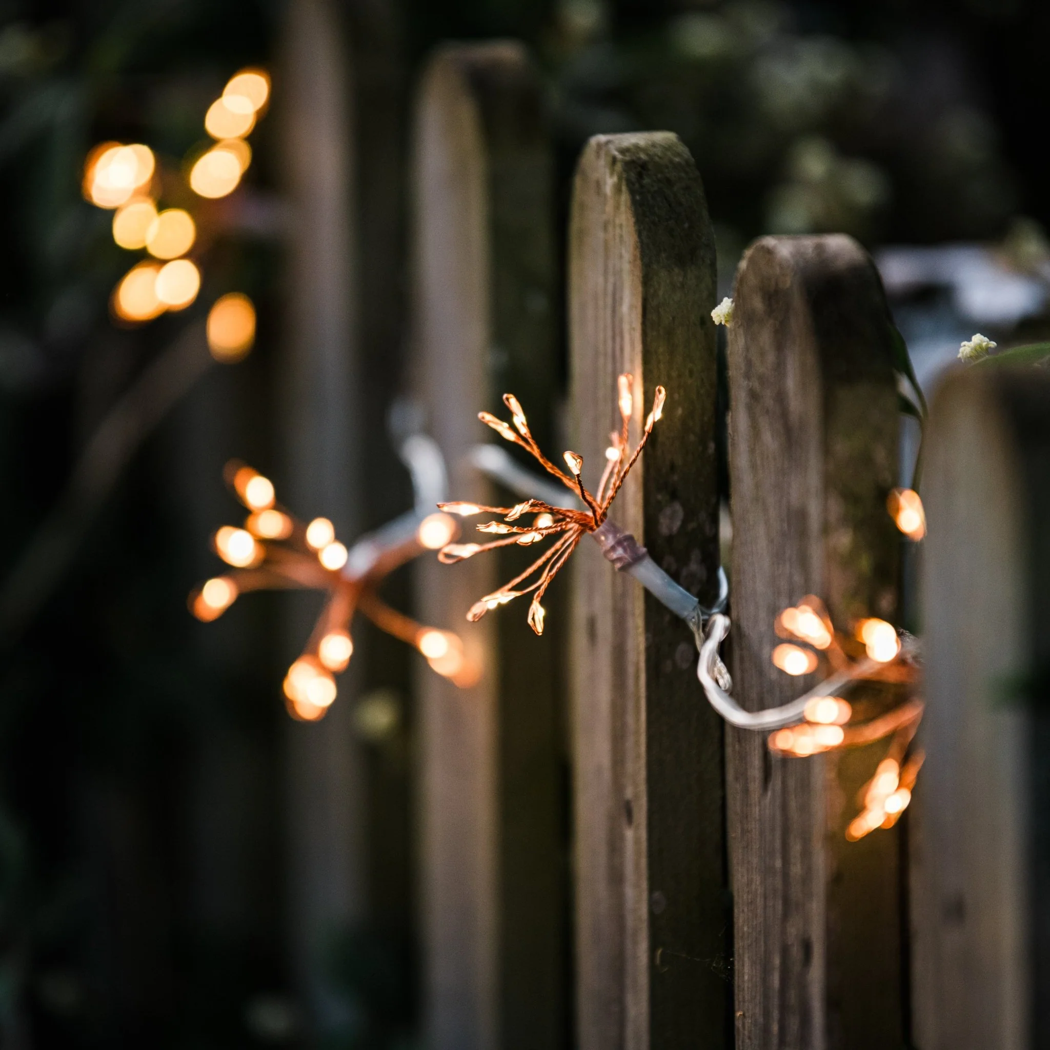 Starburst Copper Outdoor Fairy Lights - Image 3