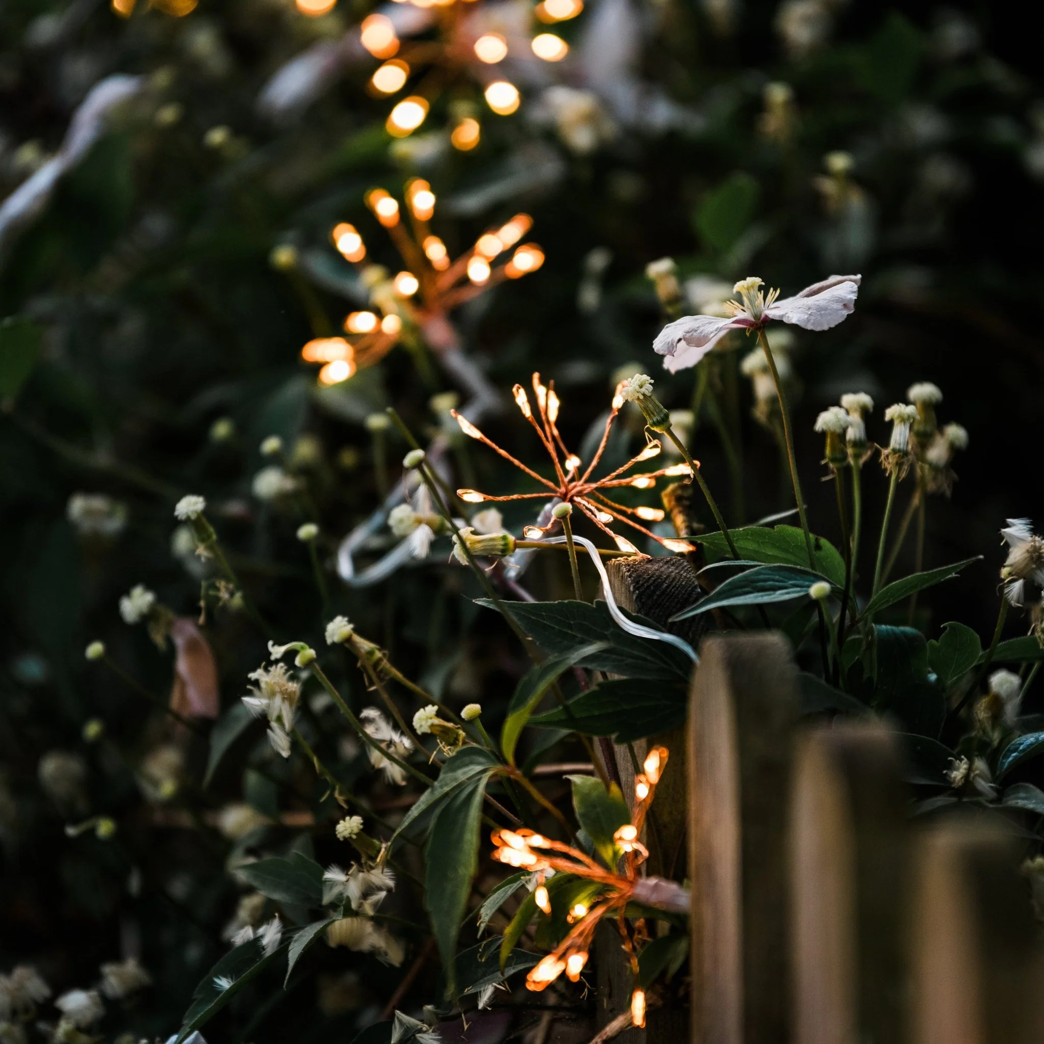 Starburst Copper Outdoor Fairy Lights - Image 4